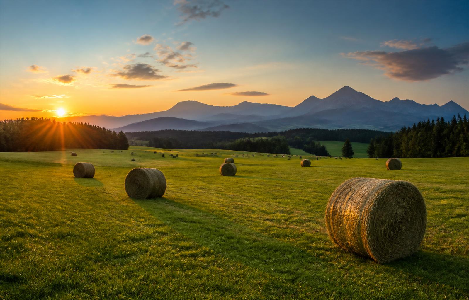 Rundballen auf einer Wiese im Rupertiwinkel